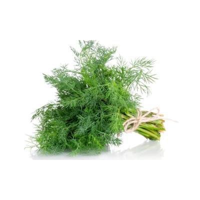 Dill bunch